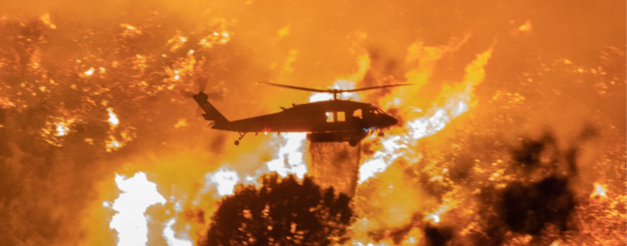 Omni Táxi Aéreo and Ibama sign contract to combat forest fires